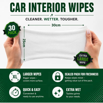 Gatorguard Car Interior Cleaning Kit